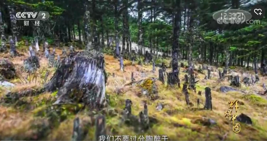《輝煌中國(guó)》第四集：綠色家園