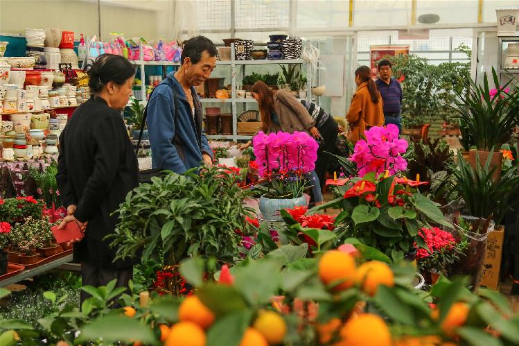 【第一眼】春意濃 花俏俏 你家的春來來了嗎？