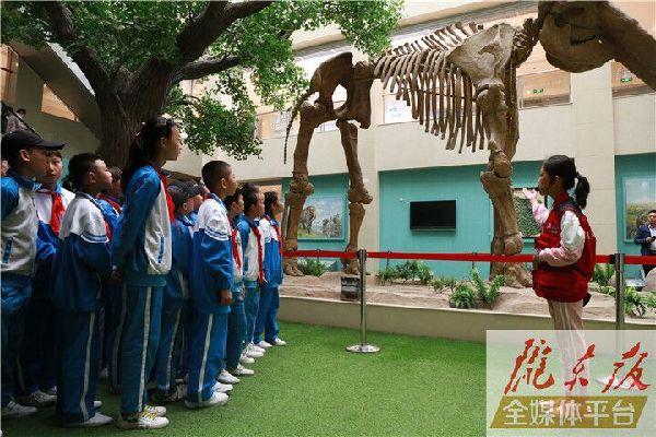 【第一眼】慶陽市博物館開展多項(xiàng)活動(dòng)慶?！?·18國(guó)際博物館日”