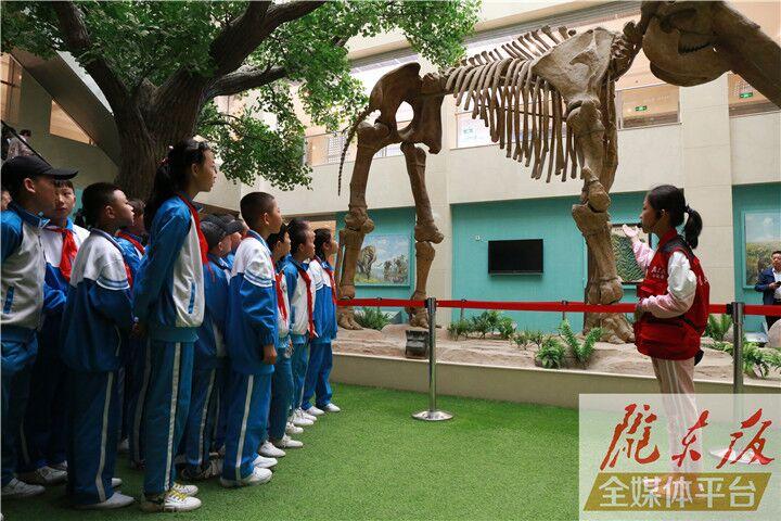 【第一眼】慶陽市博物館開展多項活動慶?！?·18國際博物館日”