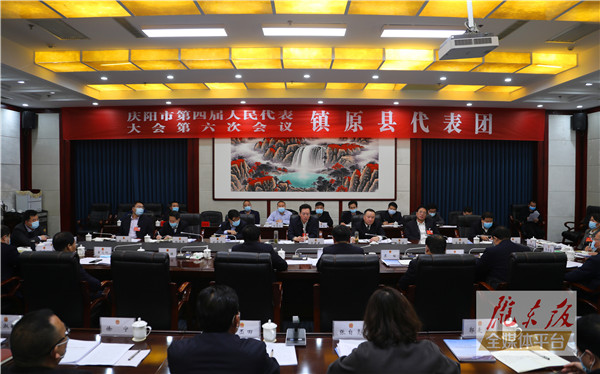 贠建民在參加鎮(zhèn)原縣代表團(tuán)審議時(shí)強(qiáng)調(diào) 拼搏爭先全面提升縣域經(jīng)濟(jì)發(fā)展水平 鼓足干勁推動“十四五”開好局起好步