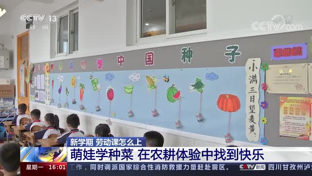 新學(xué)期，勞動(dòng)課怎么上？央視《新聞直播間》關(guān)注北師大慶陽(yáng)附校農(nóng)耕體驗(yàn)課