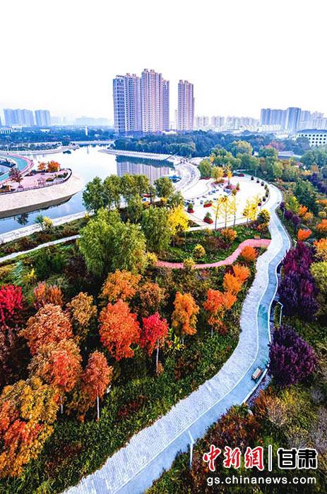 秋日的慶陽市城市海綿運動綠地色彩斑斕。張應(yīng)君 攝