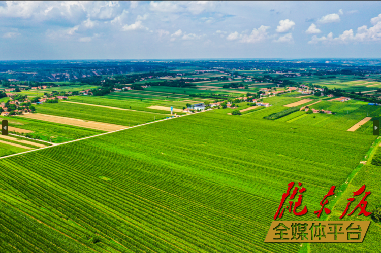 發(fā)展三元雙向循環(huán)模式 構(gòu)建現(xiàn)代農(nóng)業(yè)新格局——慶陽市著力推進農(nóng)業(yè)農(nóng)村高質(zhì)量發(fā)展綜述