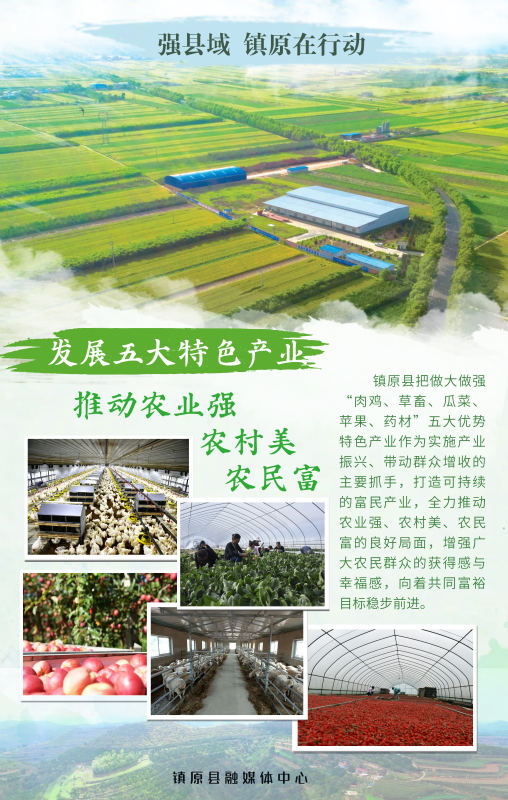 強縣域 鎮(zhèn)原在行動 | 發(fā)展五大特色產業(yè) 推動農業(yè)強 農村美 農民富