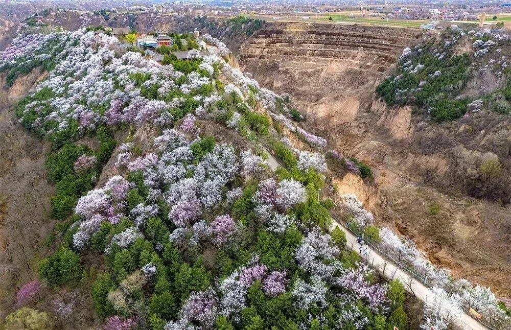 尋著花香，遇見(jiàn)慶陽(yáng)的春和景明