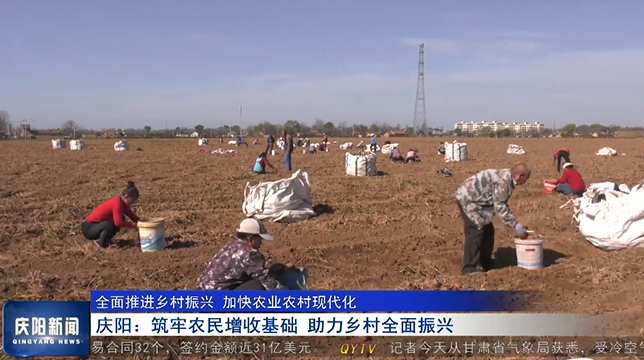 《慶陽(yáng)新聞》2024年11月14日