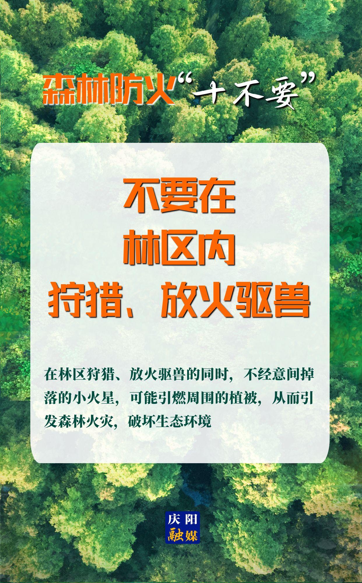 【微海報(bào)】森林防火“十不要”⑨丨不要在林區(qū)內(nèi)狩獵、放火驅(qū)獸