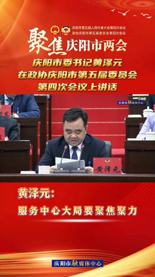 兩會(huì)V視(20) | 黃澤元：服務(wù)中心大局要聚焦聚力