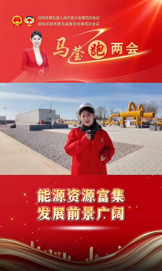 馬瑩跑兩會(huì)︱能源資源富集 發(fā)展前景廣闊