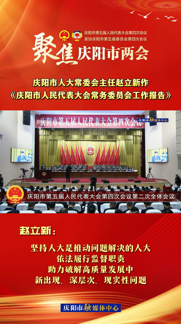 兩會(huì)V視(29)丨趙立新：堅(jiān)持人大是推動(dòng)問題解決的人大，依法履行監(jiān)督職責(zé)，助力破解高質(zhì)量發(fā)展中新出現(xiàn)、深層次、現(xiàn)實(shí)性問題