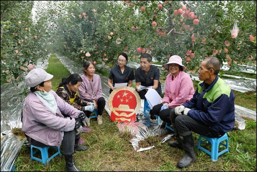 【法治慶陽】新“楓”正勁 向“治”而行——西峰區(qū)人民法院后官寨法庭創(chuàng)建“楓橋式人民法庭”工作紀(jì)實(shí)