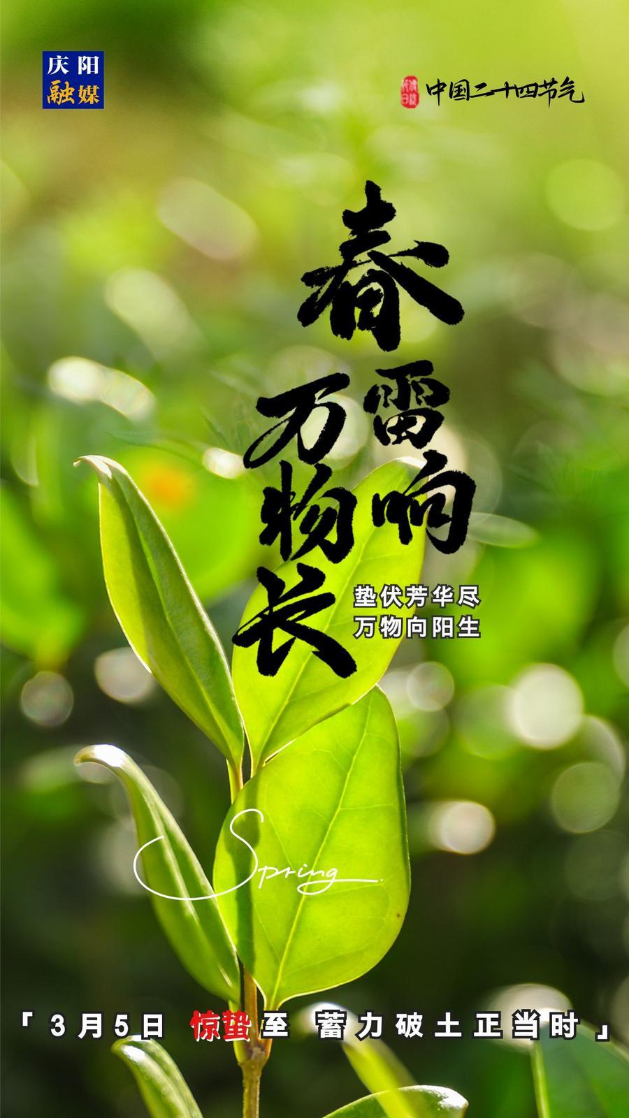 【微海報(bào)】二十四節(jié)氣丨驚蟄至，蓄力破土正當(dāng)時(shí)