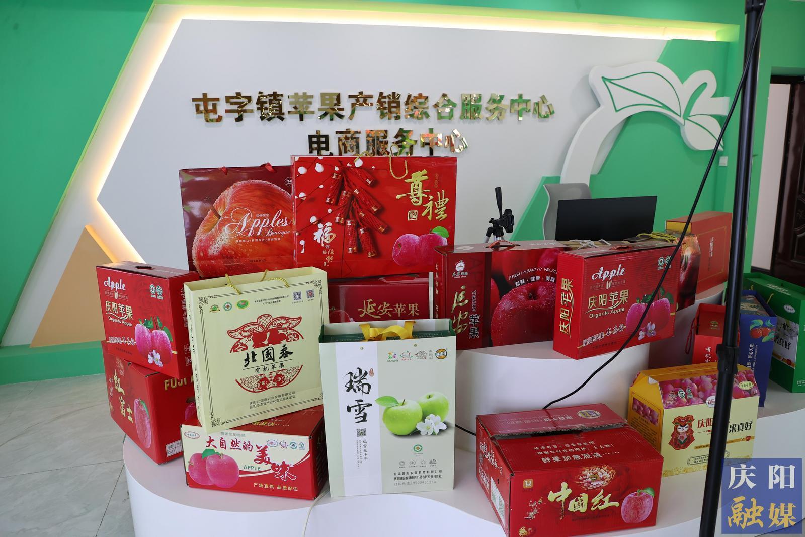 【攝影報(bào)道】鎮(zhèn)原縣甘旭果品專業(yè)合作社：蘋果全鏈發(fā)展 引領(lǐng)鄉(xiāng)村產(chǎn)業(yè)振興