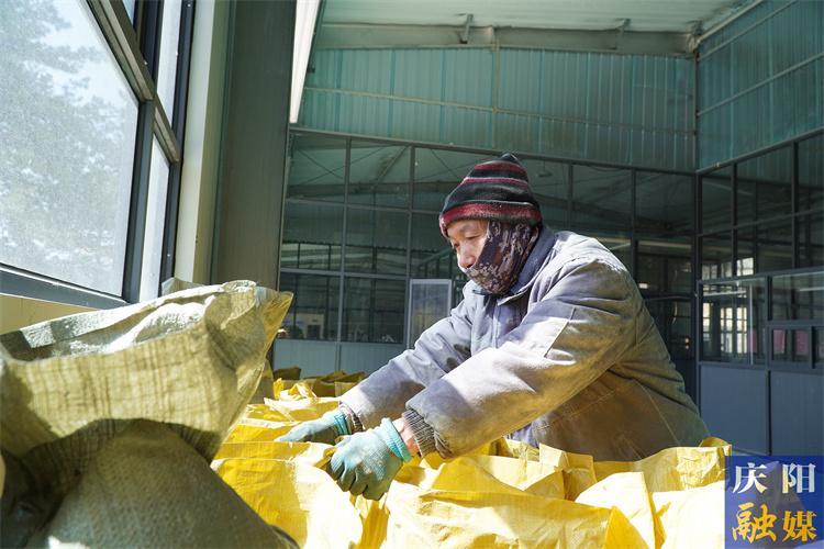 【沖刺開門紅】華池縣城壕鎮(zhèn)：一粒玉米的“黃金”產業(yè)鏈