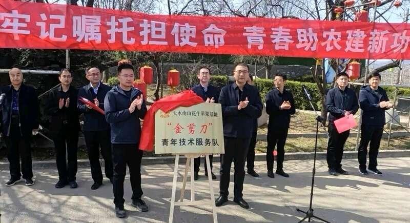 甘肅天水：“金剪刀”服務(wù)隊助力花牛蘋果提質(zhì)增效