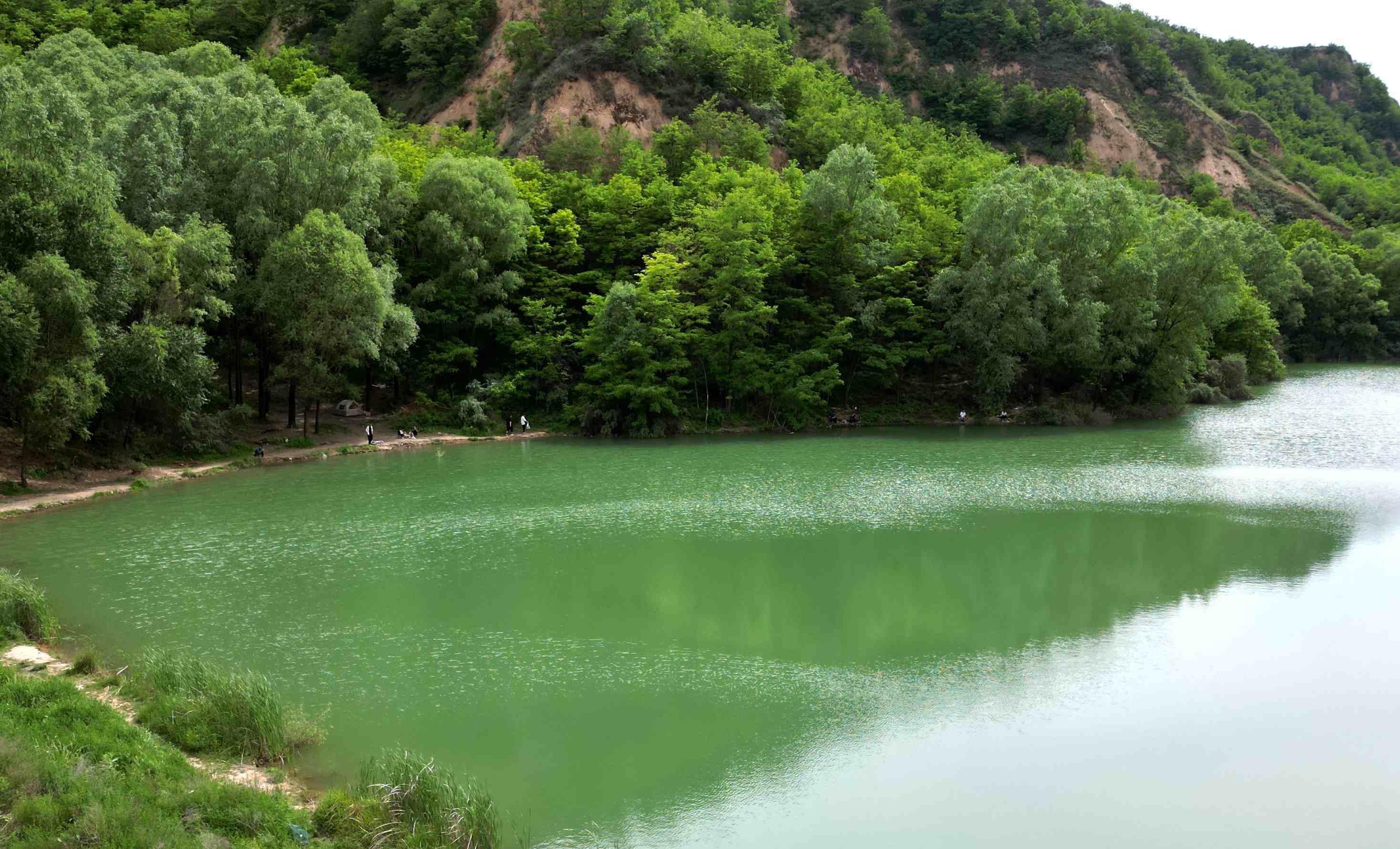 水保工程讓慶陽市群眾長(zhǎng)享“綠色福利”
