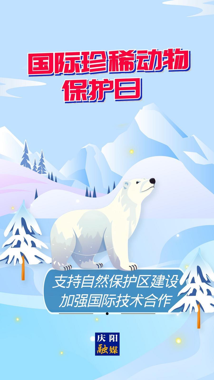 【微海報(bào)】國(guó)際珍稀動(dòng)物保護(hù)日丨支持自然保護(hù)區(qū)建設(shè) 加強(qiáng)國(guó)際技術(shù)合作