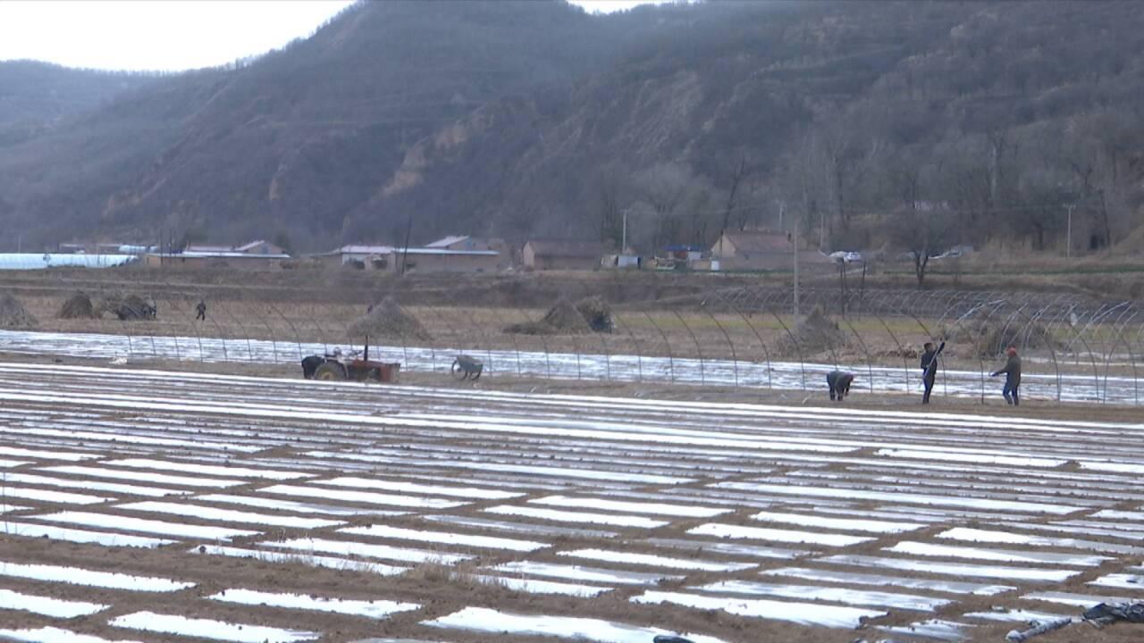 合水縣及早部署春耕生產 今年全縣春播糧食作物計劃面積15萬畝