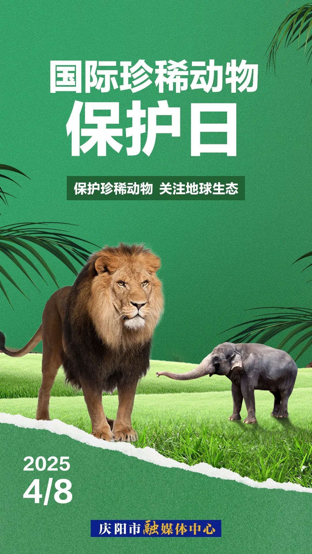 國際珍稀動(dòng)物保護(hù)日丨因?yàn)椤罢湎　彼浴罢湎А?>

                        <div   id=