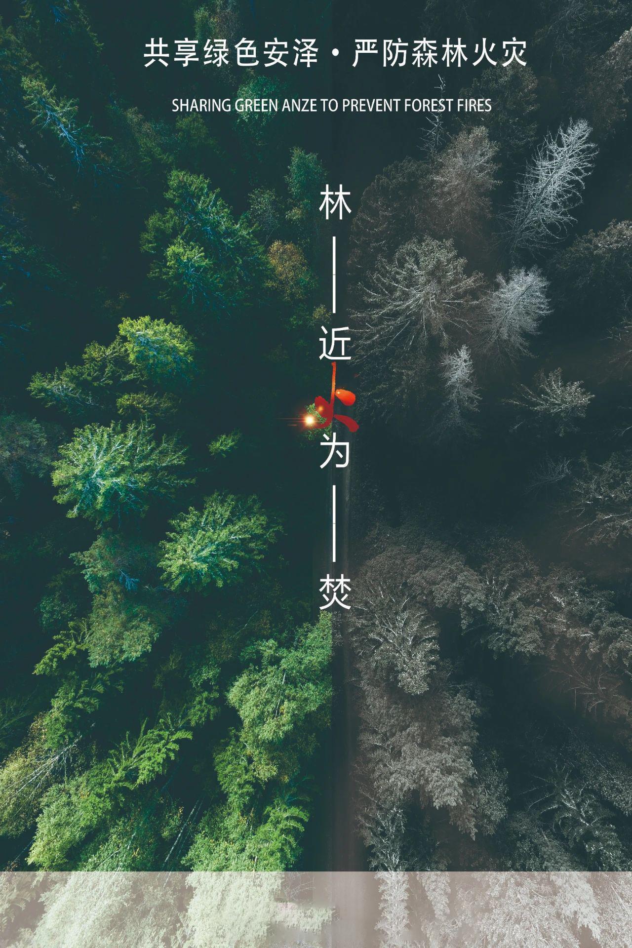 共享綠色安澤·嚴(yán)防森林火災(zāi)