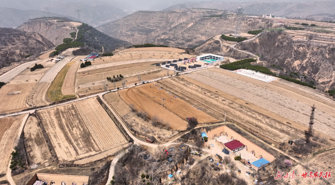 華池：黃精種植激活“天然藥庫”新活力