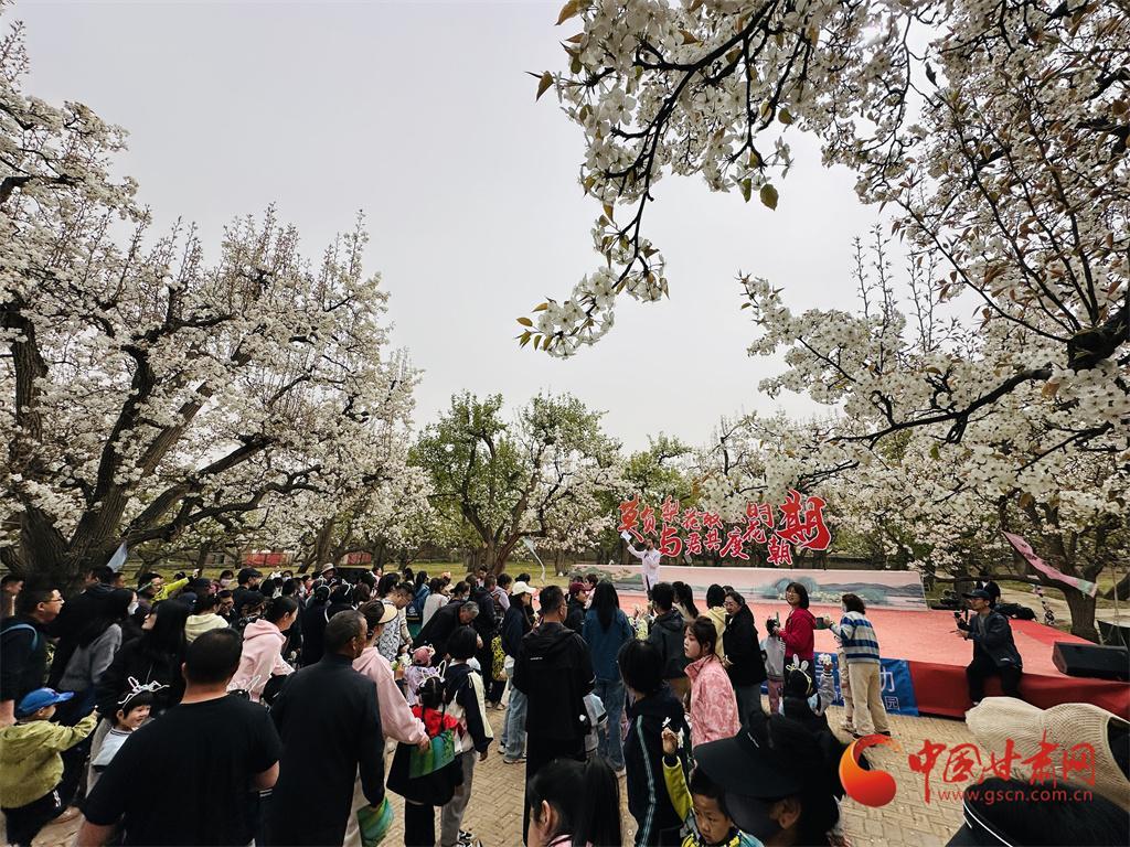 隴拍客丨蘭州皋蘭梨花綻放 邂逅“花”漾春天