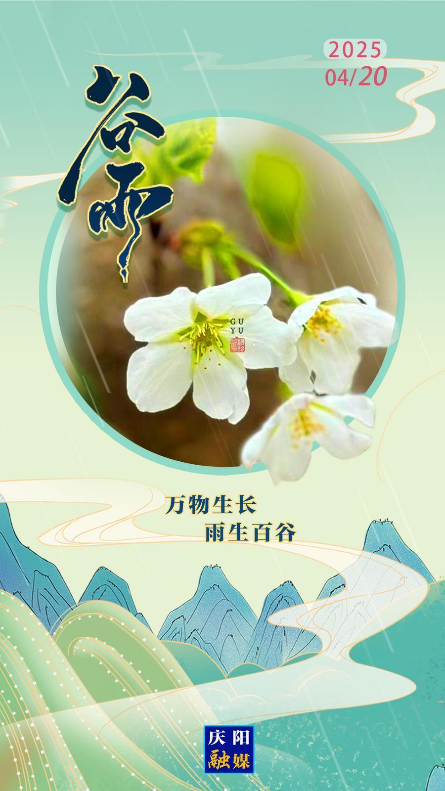 【微海報】二十四節(jié)氣·谷雨 | 雨生百谷  萬物生長