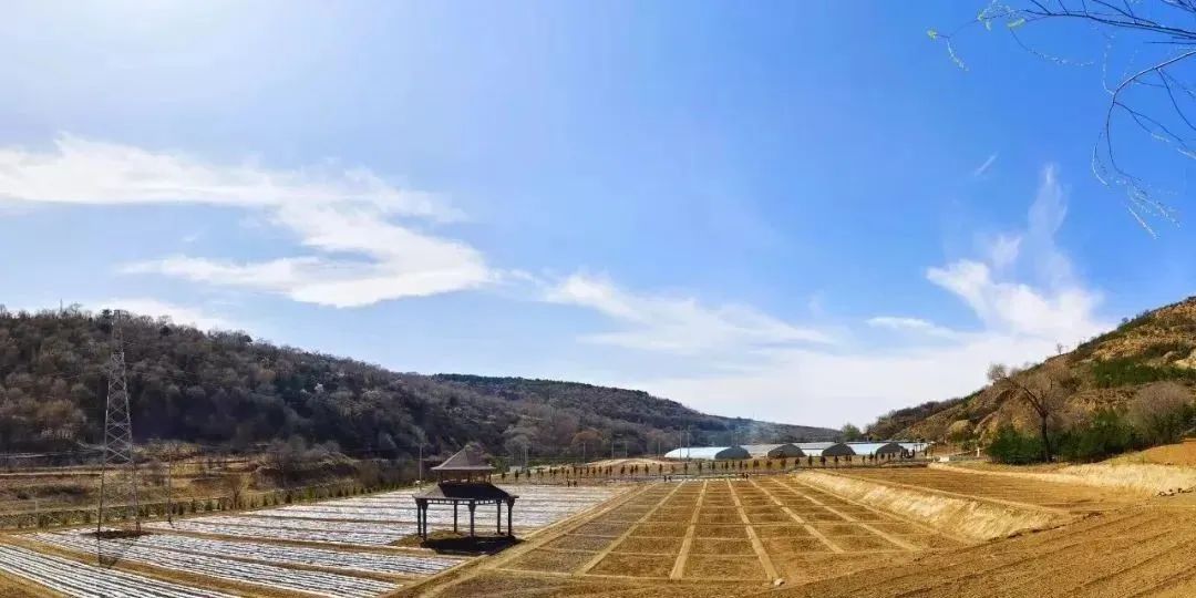 華池縣南梁鎮(zhèn)全力開展人居環(huán)境整治助力低空賽道油田挑戰(zhàn)賽