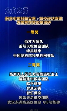 【V視】2025數(shù)字中國創(chuàng)新大賽·低空經(jīng)濟賽道方案賽獲獎名單公布