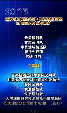 【V視】2025數(shù)字中國創(chuàng)新大賽·低空經(jīng)濟賽道場景賽獲獎名單出爐