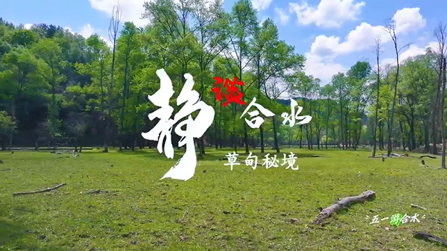【五一游慶陽】靜謐合水︱合水縣太莪鄉(xiāng)草甸秘境等你來打卡！
