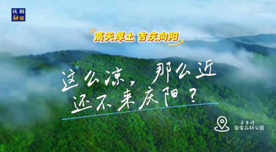 這么涼，那么近，還不來慶陽 ？——“天然氧吧”子午嶺國家森林公園歡迎您來！